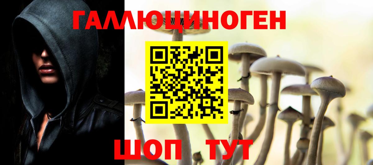 Псилоцибиновые грибы GOLDEN TEACHER  где продают   Галлюциногенные грибы Cubensis  Хасавюрт  Вход с VPN 